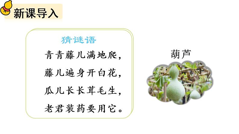 14 我要的是葫芦课件PPT03