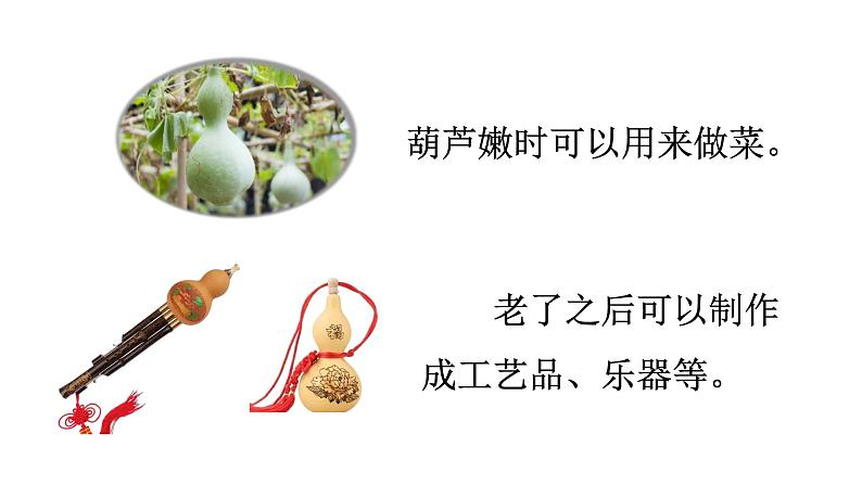 14 我要的是葫芦课件PPT04