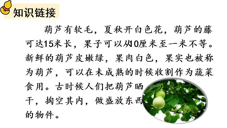 14 我要的是葫芦课件PPT05