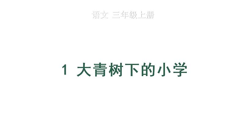 1 大青树下的小学 教学课件第1页