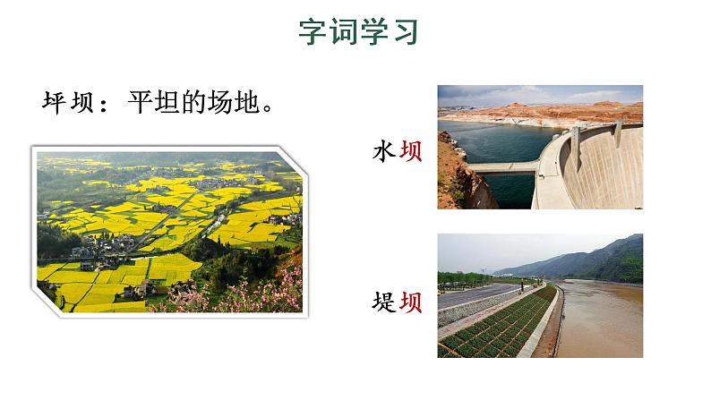 1 大青树下的小学 教学课件第7页