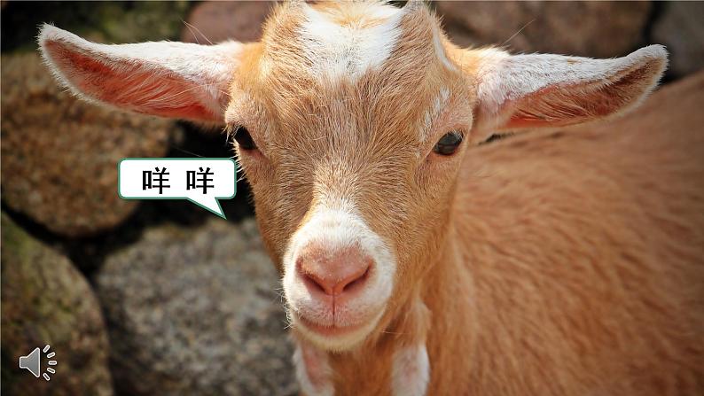 14 小狗学叫课件PPT04