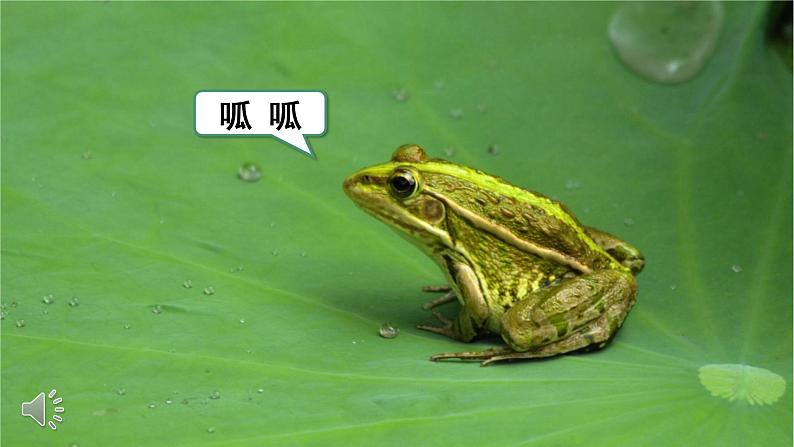 14 小狗学叫课件PPT05