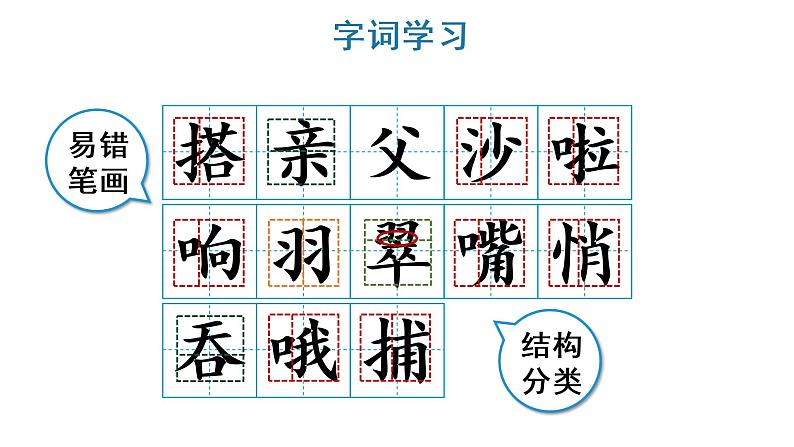 15 搭船的鸟 教学课件第7页