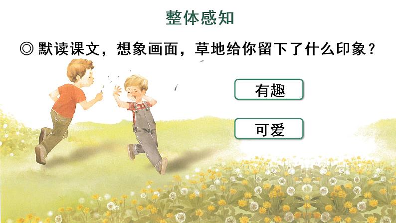 16 金色的草地课件PPT08