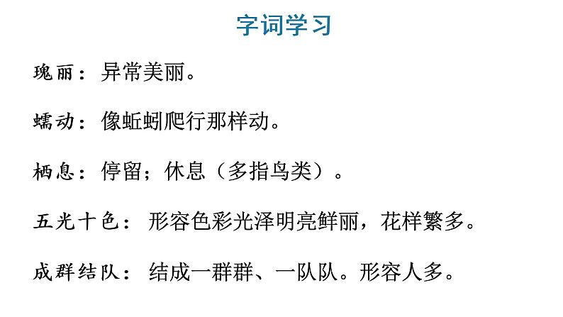 18 富饶的西沙群岛 教学课件第8页