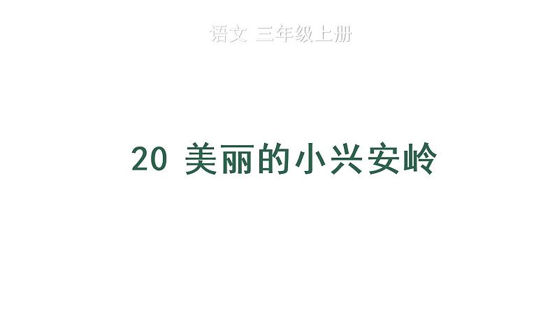 20 美丽的小兴安岭 教学课件第1页