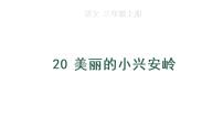 人教部编版三年级上册20 美丽的小兴安岭图文ppt课件