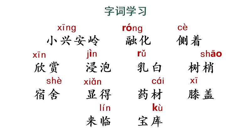 20 美丽的小兴安岭 教学课件第5页