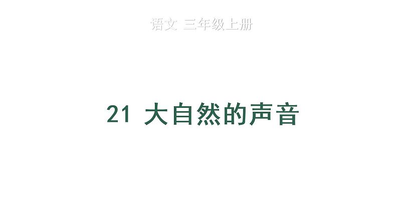 21 大自然的声音 教学课件第1页