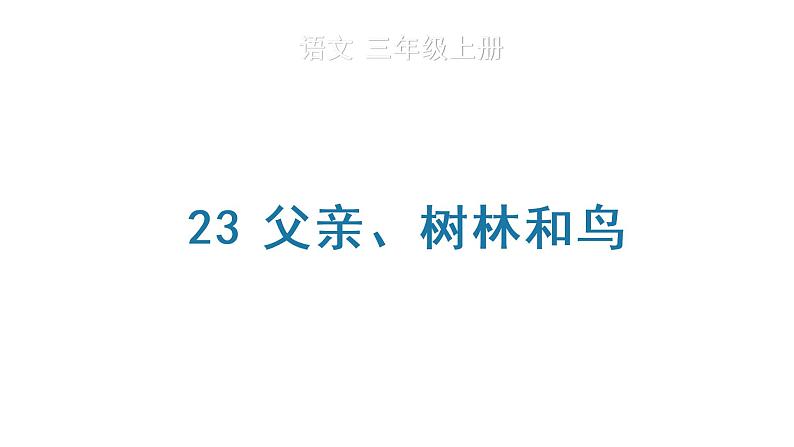 23 父亲、树林和鸟 生字课件第1页