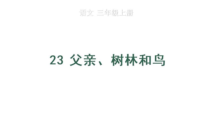 23 父亲、树林和鸟 教学课件第1页