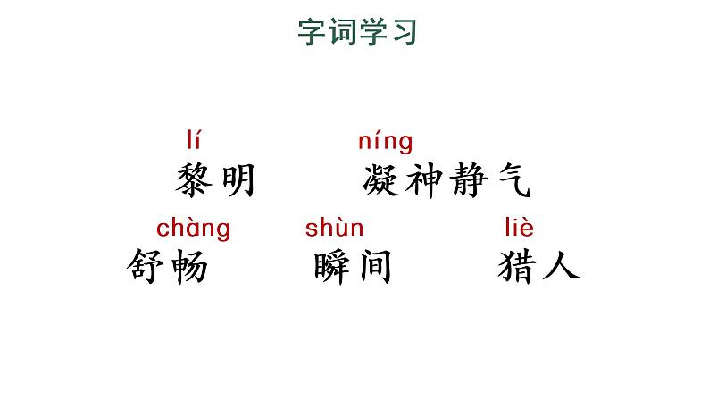 23 父亲、树林和鸟 教学课件第4页