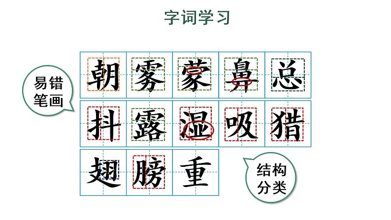 23 父亲、树林和鸟 教学课件第5页