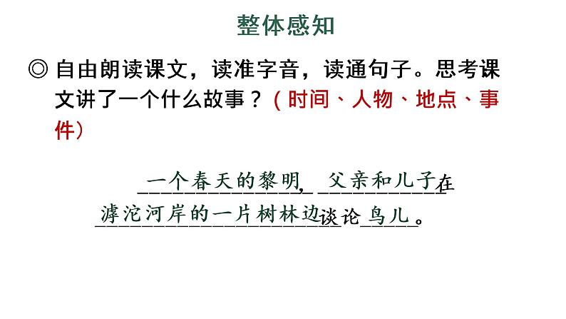 23 父亲、树林和鸟 教学课件第7页