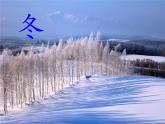 统编版语文一年级上册 4 四季   课件(共15张PPT)