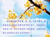 统编版语文一年级上册 1 秋天--了解秋天的特点  课件（13张）