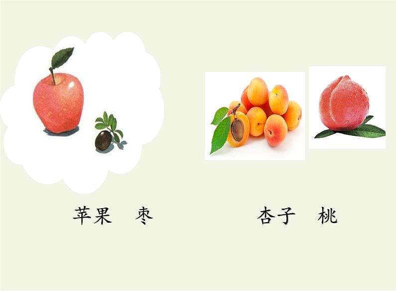 统编版语文一年级上册 7.大小多少 课件(共14张PPT)第3页