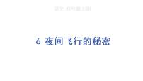 小学语文人教部编版四年级上册6 夜间飞行的秘密教案配套课件ppt
