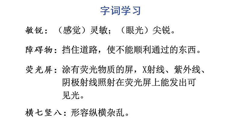6 夜间飞行的秘密课件PPT08