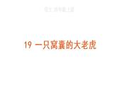 19 一只窝囊的大老虎课件PPT