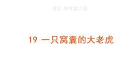 语文四年级上册19 一只窝囊的大老虎课文ppt课件