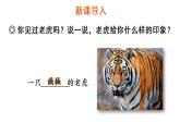 19 一只窝囊的大老虎课件PPT