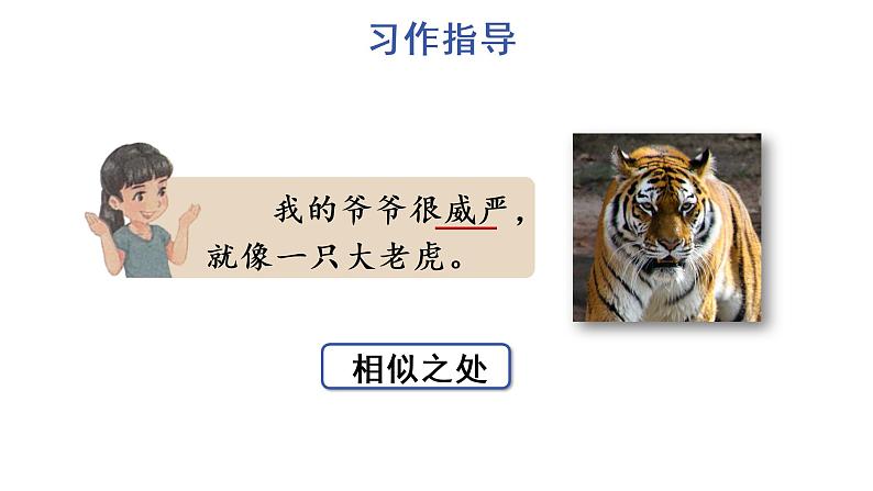 习作：小小“动物园” 教学课件第5页