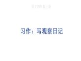 习作：写观察日记课件PPT