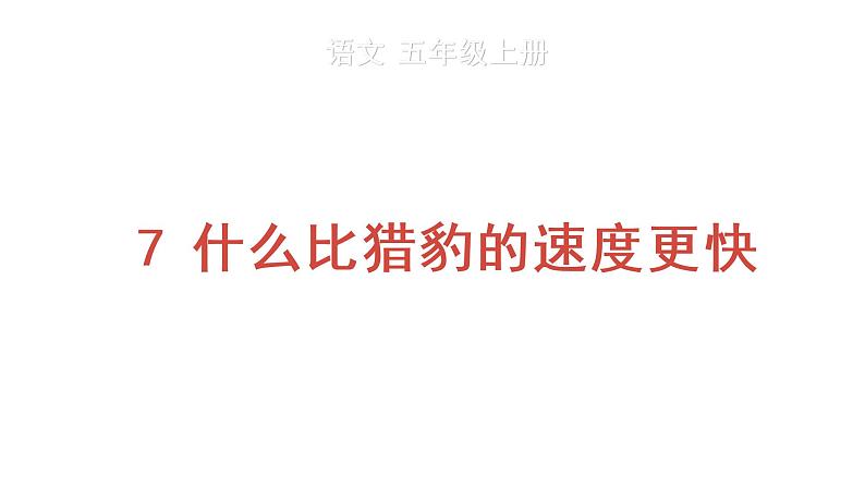 7 什么比猎豹的速度更快 教学课件第1页