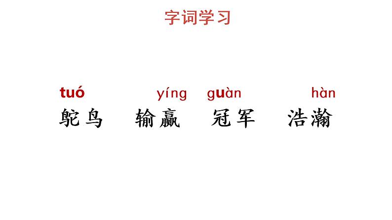 7 什么比猎豹的速度更快 教学课件第4页