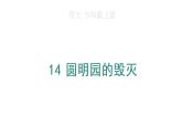14 圆明园的毁灭课件PPT