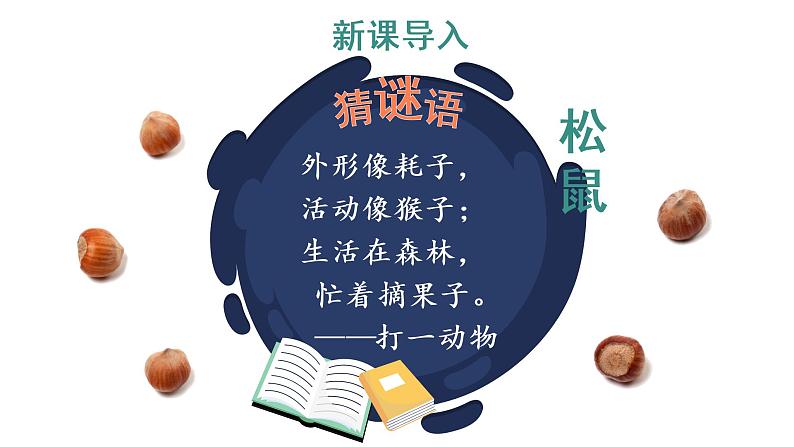 17 松鼠 教学课件第2页