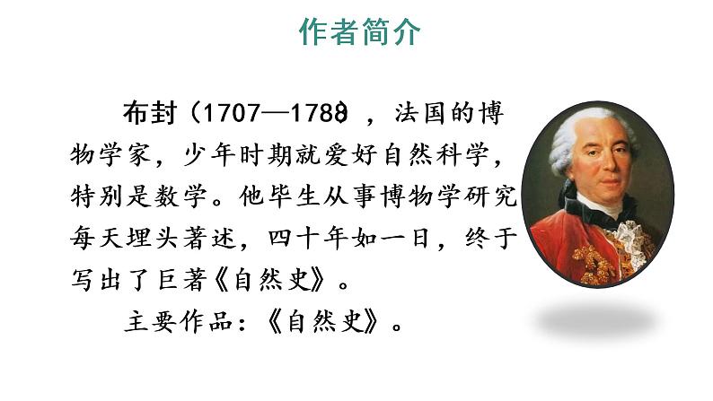 17 松鼠 教学课件第3页