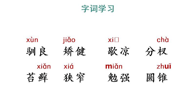 17 松鼠 教学课件第5页