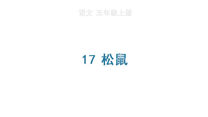 17 松鼠 生字课件第1页