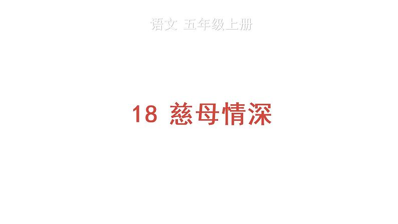 18 慈母情深 教学课件第1页