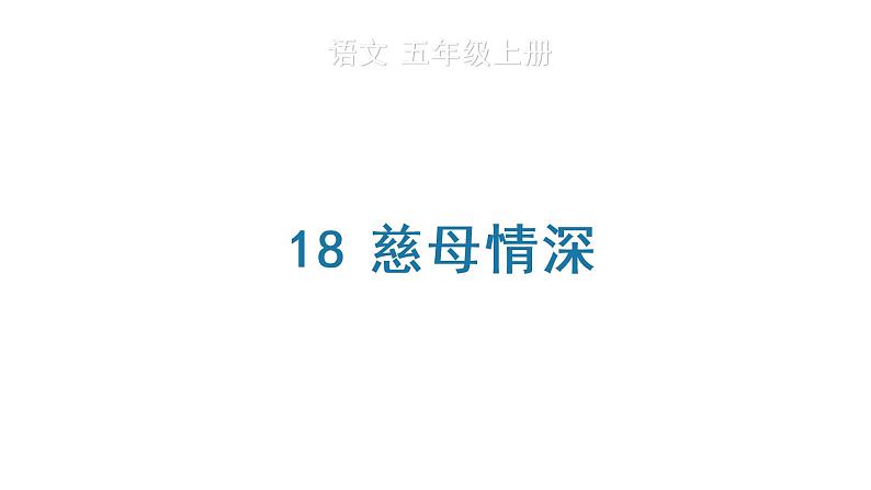 18 慈母情深 生字课件第1页