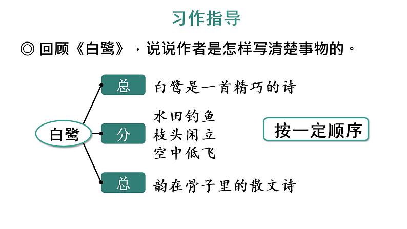 习作：我的心爱之物 教学课件第7页