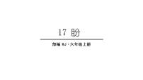 人教部编版六年级上册17 盼多媒体教学课件ppt