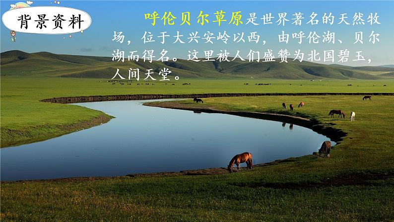 1   草原课件PPT04