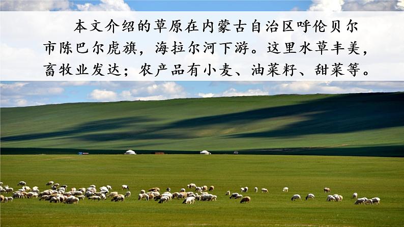 1   草原课件PPT05