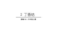 六年级上册2 丁香结教课内容课件ppt