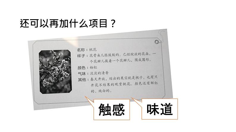 人教语文3年级下册课件习作：我的植物朋友04