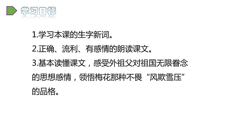 42022人教语文5年级下册课件.梅花魂教学课件第2页