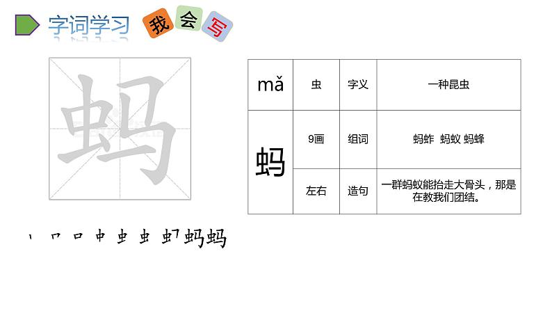 22022人教语文5年级下册课件.祖父的园子教学课件第7页