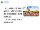 2022人教语文5年级下册课件19.牧场之国教学课件
