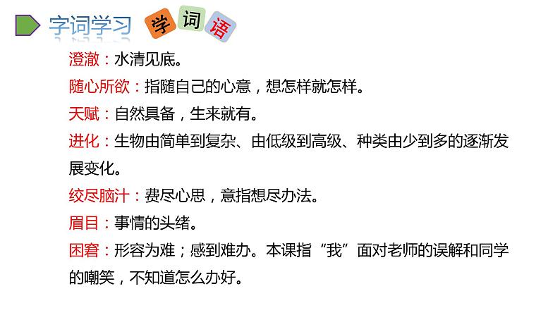 2022人教语文5年级下册课件23.童年的发现上课课件05