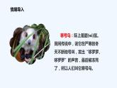 统编版语文二年级上册 13寒号鸟 课件（15张）