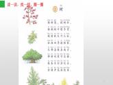 统编版语文二年级上册 2 树之歌（课件）（13张）